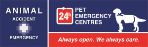 Animal Accident  Emergency Vet Open Melbourne