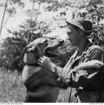 Private Keith McDonald of South Yarra black and tan Alsation dog war.jpg